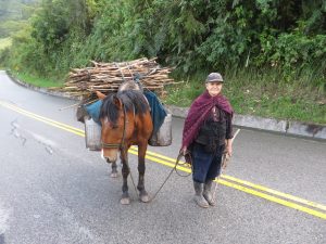 Transportmittel Esel